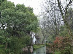 -西溪国家湿地公园