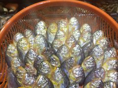 -浙C老邻舍(西城海错店)