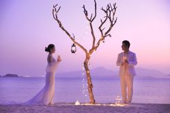 点击看大图 -金夫人婚纱摄影(华南店)