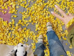-新虹桥中心花园