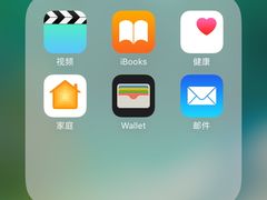 -华莱士·炸鸡汉堡(簇桥镇店)
