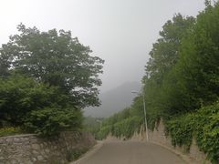 -北京鹫峰国家森林公园