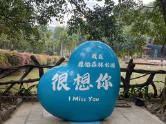 -西双版纳原始森林公园