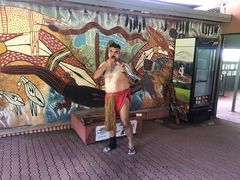 -热带雨林自然公园