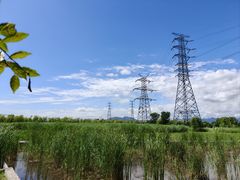 -永定河休闲森林公园