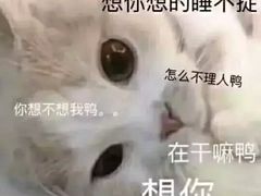 -喜虾客·大虾火锅(郑州无限城店)