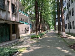 -水墨澜渟足道·SPA·传统(四望亭东关街店)