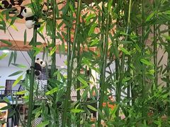 -毛辣果·贵州红酸汤牛肉火锅(西单店)