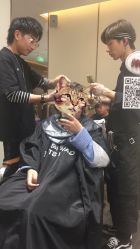 -崇尚GAVIN STYLE臻选