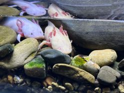 -Zoolung Zoolung动物主题公园(海信广场店)