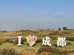 -空港花田景区