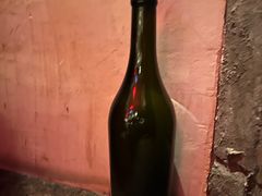 -毛辣果·酸(OHA复兴西路店)