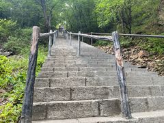 -茅兰沟国家森林公园