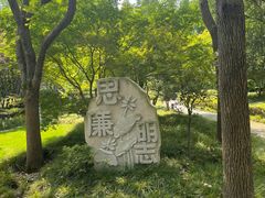-陈家山荷花公园