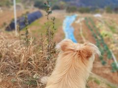 -乌石村