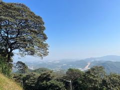 -黄埔油麻山森林公园