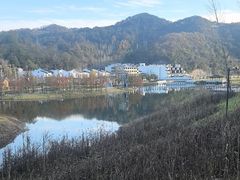 -千年银杏谷文化旅游区