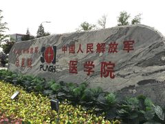 -中国人民解放军总医院