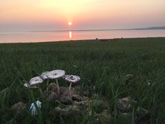 iphone_upload_pic-呼和诺尔旅游景区