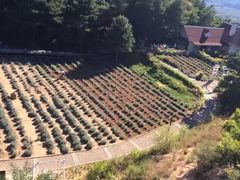 -云峰山自然风景区