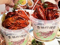 -杨氏青龙虾·羊蝎子(托乐嘉店)