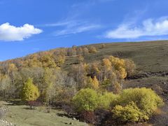 -塞罕坝国家级自然保护区