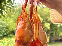 -欢乐蟹庄·精品农家乐(阳澄湖莲花岛店)