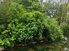 -白马涧龙池景区
