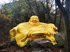 -紫金山山顶公园