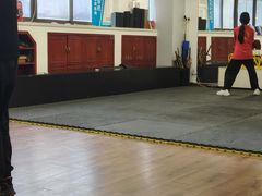 -温鉴良实用咏春拳