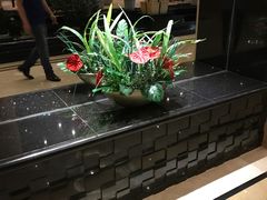 -鱼凫国都大酒店温泉