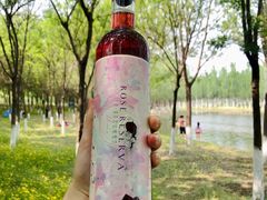 -东郊湿地公园