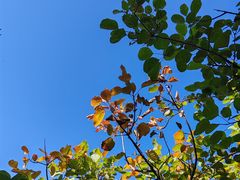 -北京十三陵国家森林公园蟒山景区