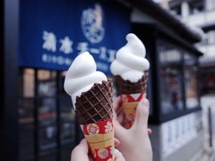 -有栖山 清光院 清水寺