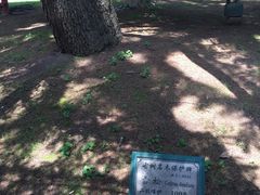 -上海安亭别墅花园酒店