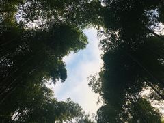 -野宫神社
