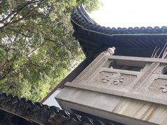 -花溪公园