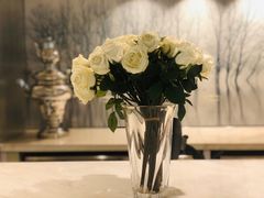 -BLACKSWAN黑天鹅(环球店)