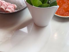-喃喃椰·糟粕醋·椰子鸡火锅(七堡花园店)