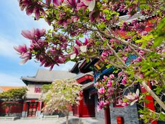 -天津大悲禅院