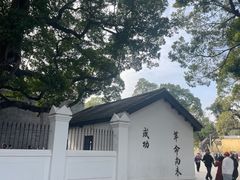 -长洲岛