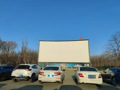 -枫花园汽车电影院(朝阳公园店)
