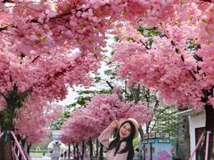 -东莞松山湖万象汇