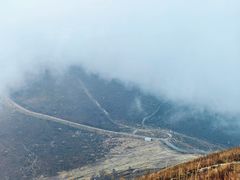 -千年银杏谷文化旅游区