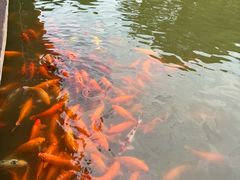 -枫香湖儿童公园