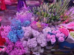 -花鸟鱼虫鲜花绿植市场(玉泉路店)