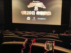 -新影联·华谊兄弟影院(望京店)
