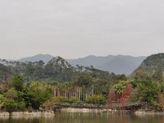 -星湖旅游景区七星岩