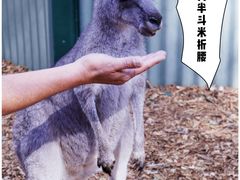 -费瑟代尔野生动物园