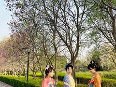 -洛阳市隋唐城遗址植物园